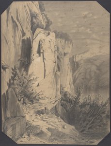 Skoger og fjell av Alexandre Calame