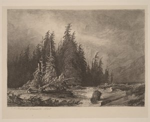 Fjellfuruer av Alexandre Calame