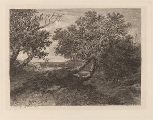 Strøm med overhengende trær av Alexandre Calame