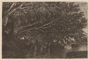 Trær som henger over en dam av Alexandre Calame