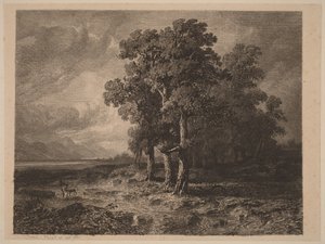 Trær i storm av Alexandre Calame