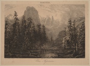 En granskog
