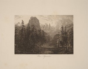 En granskog av Alexandre Calame