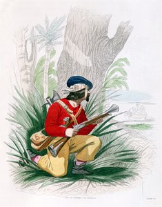 The Buccaneer, fra 