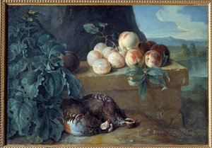 Fersken og rapphøns. Maleri av Francois Desportes (1661-1743) av Alexandre Francois Desportes