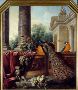 Stilleben med påfugl En papegøye, en ape og drueklaser. Maleri av Francois Desportes (1661-1743) 1700-tallets søn. 2,05x1,8 m Lyon, Musee des Beaux Arts av Alexandre Francois Desportes
