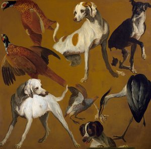 Studie av fugler og hunder, av Alexandre-Francois Desportes (1661-1743), Frankrike av Alexandre Francois Desportes