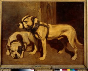 Scottish Bulldog og Terrier Bad Dog med snute. Maleri av Alexandre Gabriel Decamps av Alexandre Gabriel Decamps