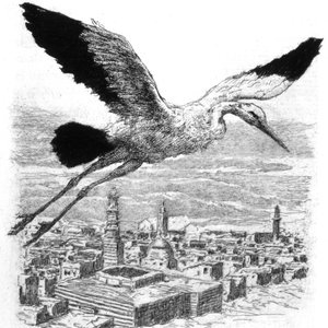 En stork som flyr over en nordafrikansk landsby