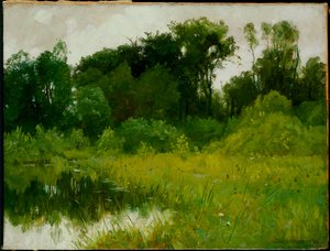 Etter regn, på Minnehaha Creek