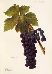 Grensegrep av A. Kreiter