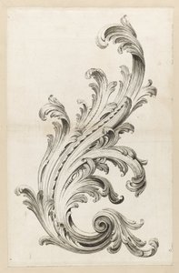 Acanthus Leaf Design