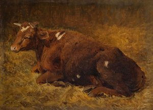 En ku som ligger på bakken, 1865-1872. av Alfred Baker