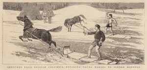 Skisser fra British Columbia, bryter unghester til sledesele av Alfred Chantrey Corbould