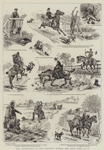 The Adventures of Two Runaway Horses, og hva som kom ut av det