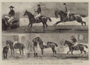 Den anglo-meksikanske ridekampen i Agricultural Hall, Islington av Alfred Chantrey Corbould