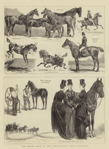 Horse Show på Agricultural Hall, Islington