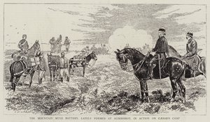 Mountain Mule Battery, nylig dannet på Aldershot, i aksjon på Caesar