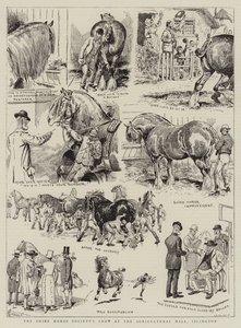 Shire Horse Society Show i Agricultural Hall, Islington av Alfred Chantrey Corbould
