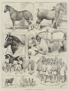 Cart-Horse Show på Landbrukshallen