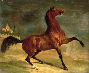 En hest i et landskap