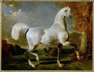  av Alfred Dedreux or de Dreux