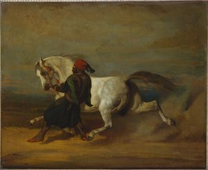 Pashas stolthet av Alfred Dedreux