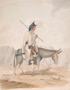 Grand Canary-Man on a Donkey av Alfred Diston