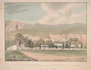 Den botaniske hagen nær Port Orotava, Tenerife av Alfred Diston