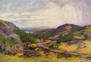 Danmark: Raebild Hills, nær Aalborg (farge litho) av Alfred Heaton Cooper