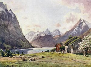 Hjorund Fjord, Gås av Alfred Heaton Cooper