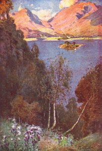  av Alfred Heaton Cooper