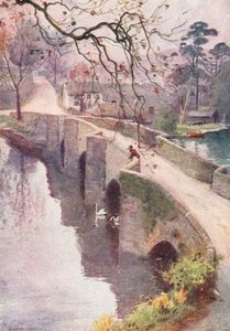  av Alfred Heaton Cooper