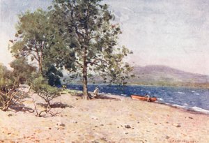  av Alfred Heaton Cooper