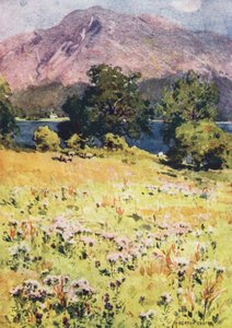  av Alfred Heaton Cooper