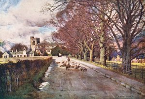  av Alfred Heaton Cooper