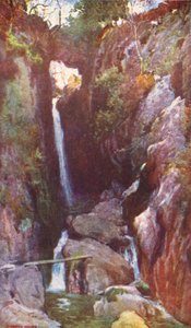  av Alfred Heaton Cooper