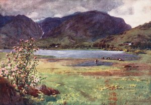  av Alfred Heaton Cooper