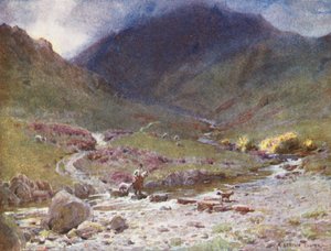  av Alfred Heaton Cooper