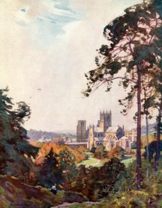 Wells Cathedral, fra Tor (farge litho) av Alfred Heaton Cooper