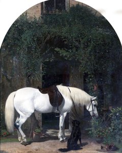 Hvit hest og retriever av Alfred Hichens Corbould