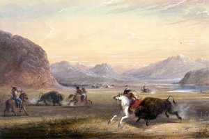 Bisonjakt nær Independence Rock av Alfred Jacob Miller