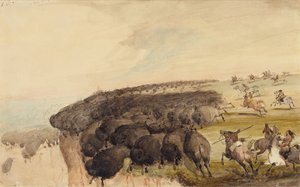 Driving Herds of Buffalo over a Precipice, ca. 1837 (blyant, penn og blekk og akvarell på papir) av Alfred Jacob Miller