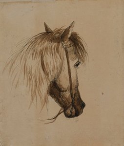 Hestehode av Alfred Jacob Miller
