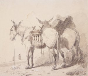Muleutstyr, ca. 1837 (blyant og vask på papir) av Alfred Jacob Miller