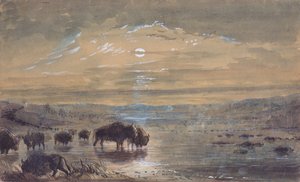 Nattscene, Buffaloes on the Prairie, ca. 1837 (akvarell på papir) av Alfred Jacob Miller