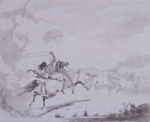 Kaster lasso, ca. 1837 (penn og blekk med grå vask på grått kort) av Alfred Jacob Miller