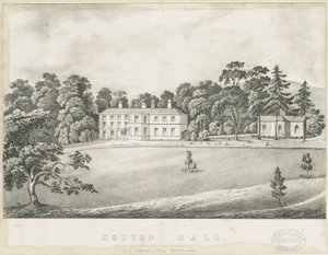 Bomull - Hall: litografi, og [1800-tallet] av Alfred Jolly Caldicott