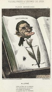 Déséchée flower: tegneserie på Littré - ill. fra 01/02/1871 i "Dagens blomster, frukt og grønnsaker" av Alfred Le Petit