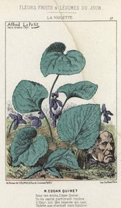 La Violette: Tegneserie om Edgar Quinet - ill. fra 09/03/1871 i «Dagens blomster, frukt og grønnsaker» av Alfred Le Petit